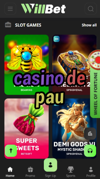 Casino De Pau - Best French Regional Casino-www.bdqngd.com